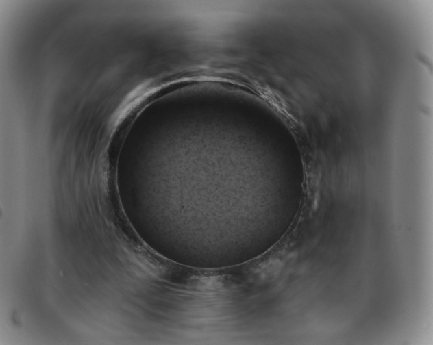 X0000097770295200803141751