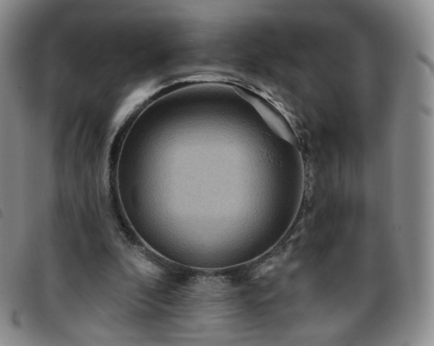 X0000097770296200803141751