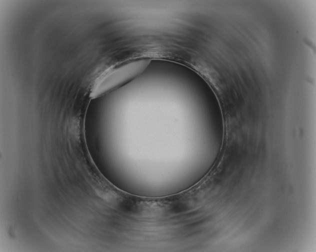 X0000097770297200803141751