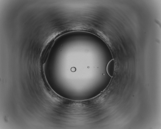 X0000097770298200803141751