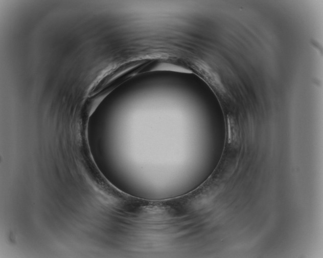 X0000097770300200803141751
