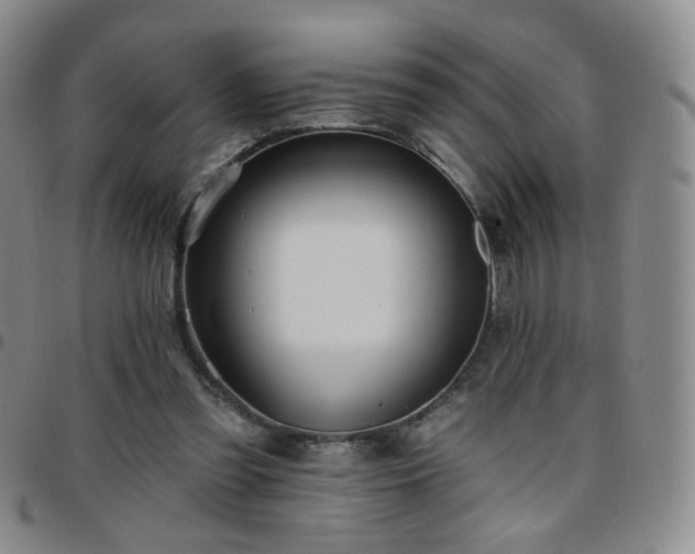 X0000097770301200803141751