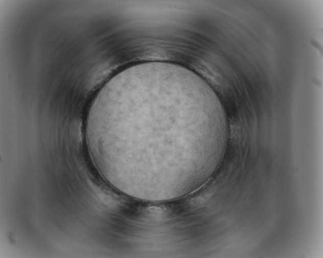 X0000097770302200803141751