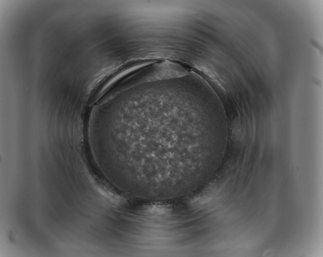 X0000097770303200803141751