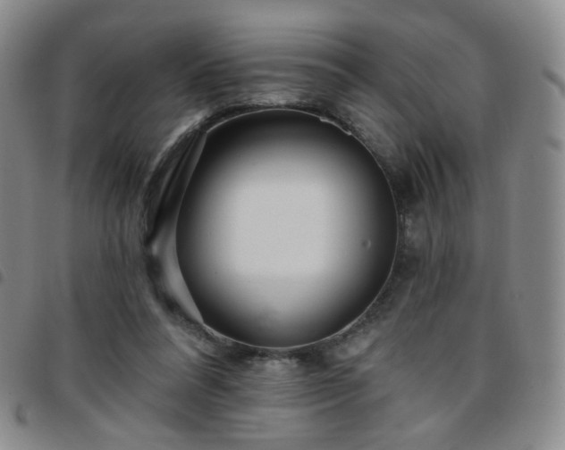 X0000097770304200803141751