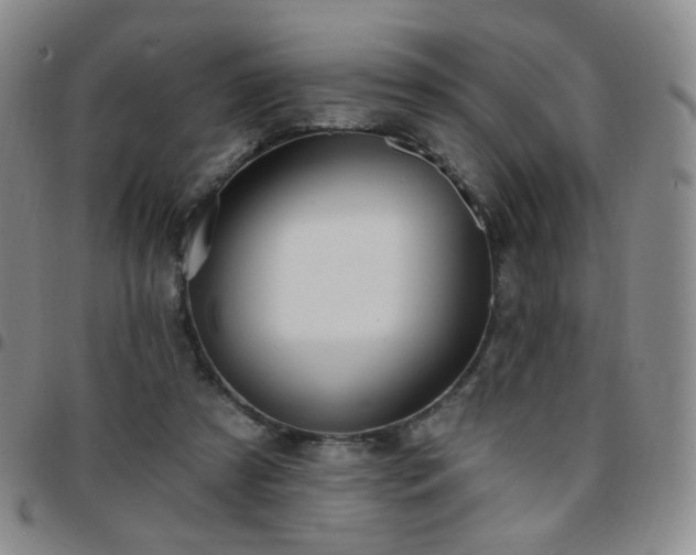 X0000097770305200803141751