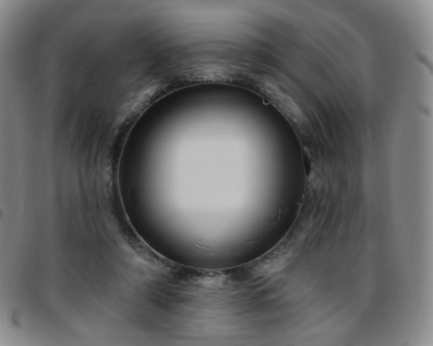 X0000097770306200803141751