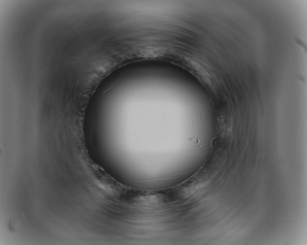 X0000097770307200803141751