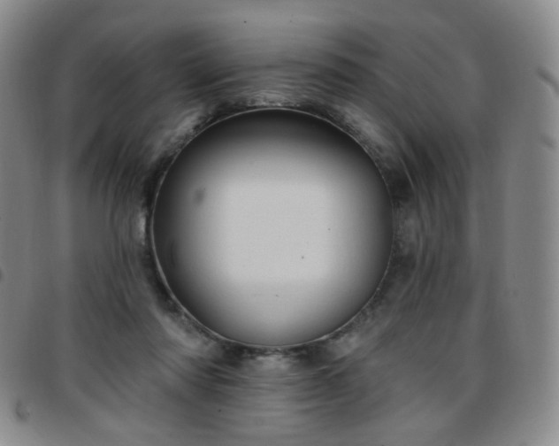 X0000097770310200803141751