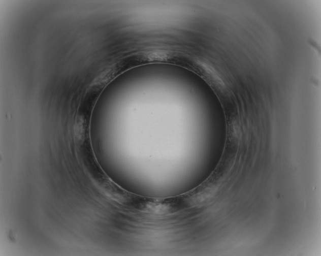 X0000097770311200803141751