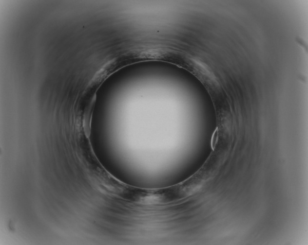 X0000097770312200803141751
