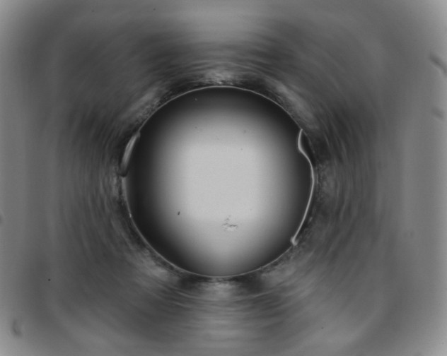 X0000097770313200803141751