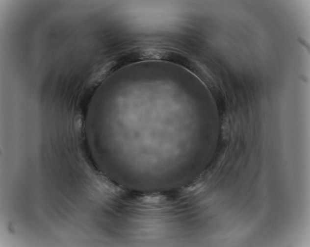 X0000097770314200803141751