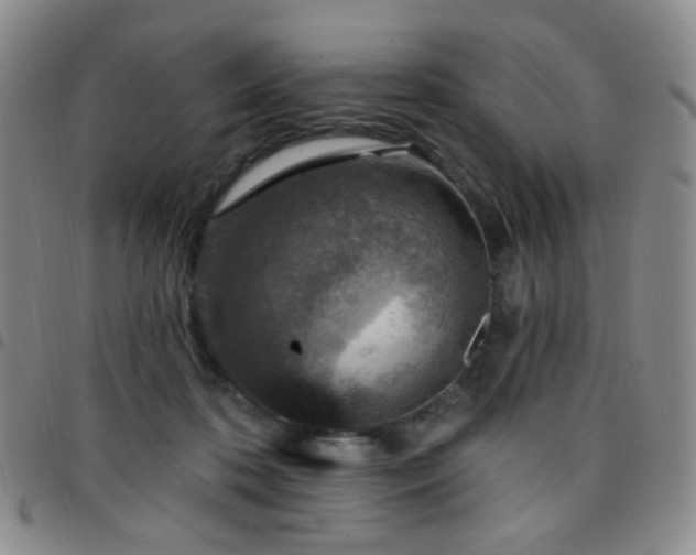 X0000097770316200803141751