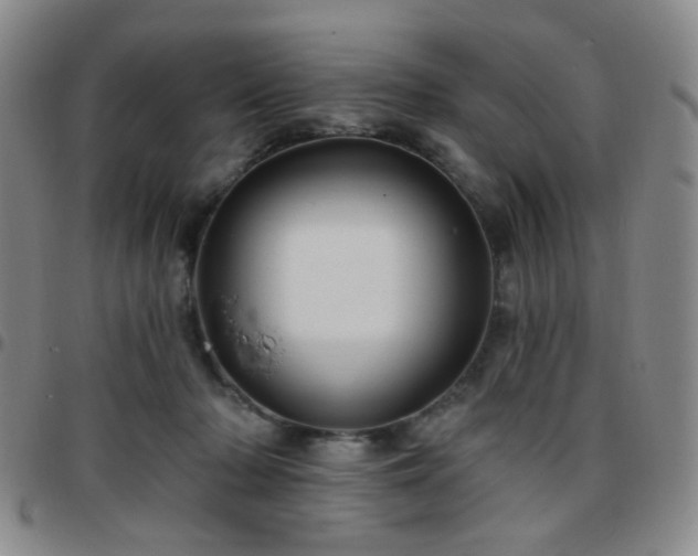 X0000097770318200803141751