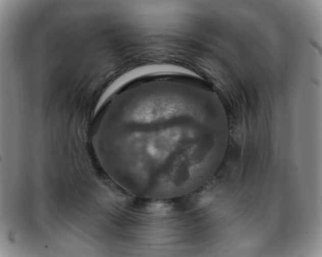 X0000097770319200803141751