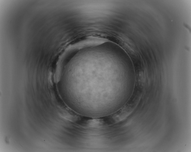 X0000097770320200803141751