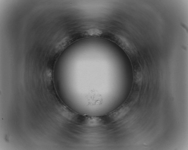 X0000097770321200803141751