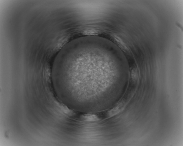 X0000097770322200803141751