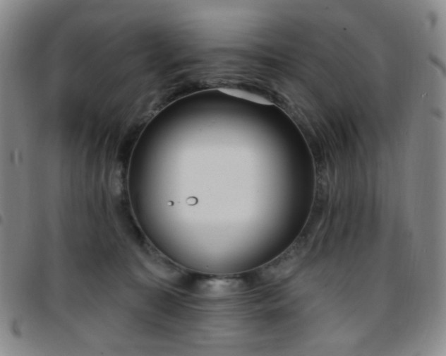 X0000097770323200803141751