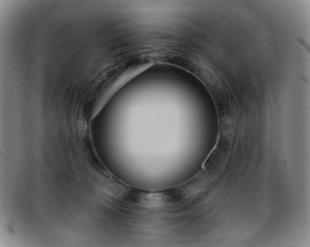 X0000097770324200803141751