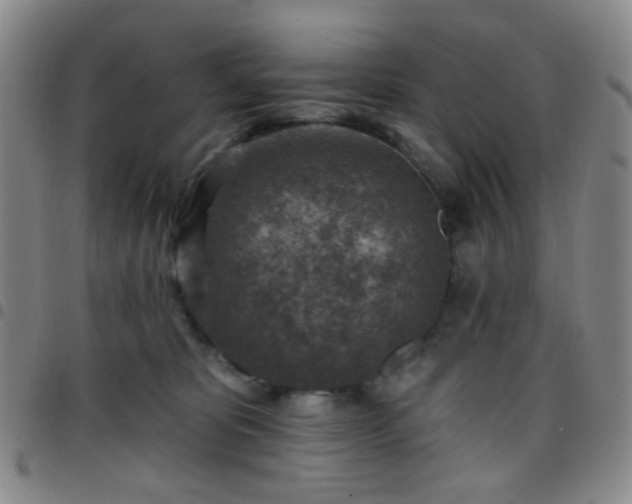 X0000097770325200803141751