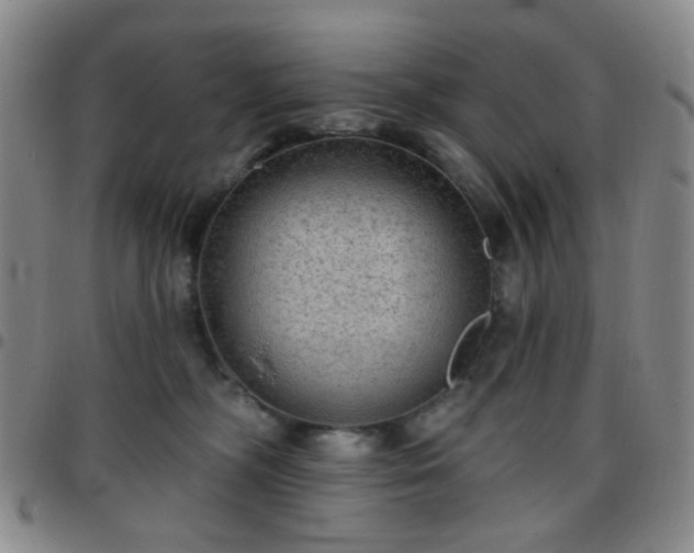 X0000097770326200803141751