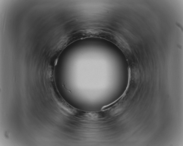 X0000097770328200803141751