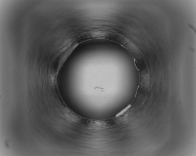 X0000097770329200803141751