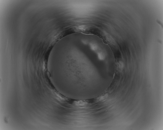 X0000097770331200803141751