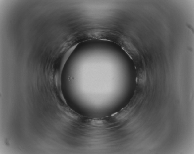 X0000097770332200803141751