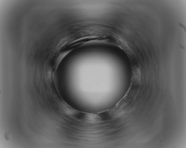 X0000097770333200803141751