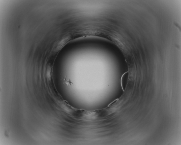 X0000097770334200803141751