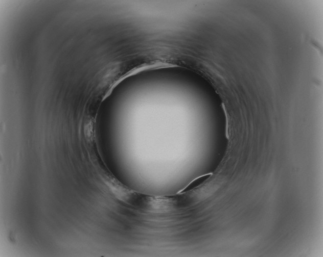 X0000097770336200803141751