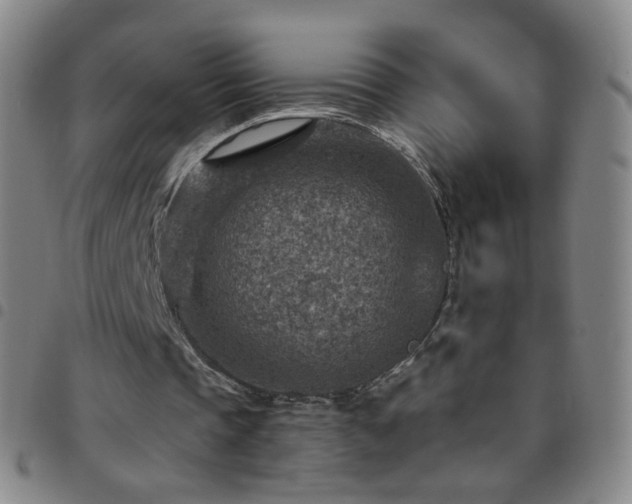 X0000097770337200803141750