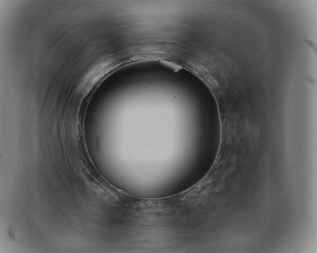 X0000097770338200803141750
