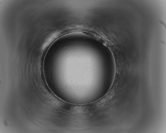 X0000097770341200803141750