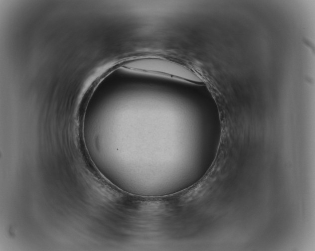 X0000097770342200803141750