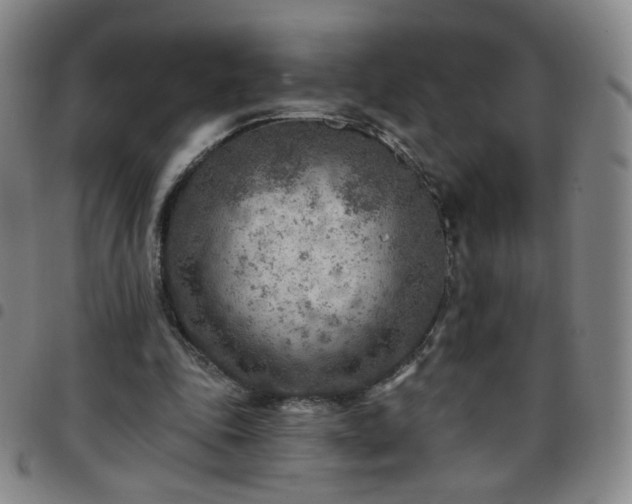 X0000097770343200803141750