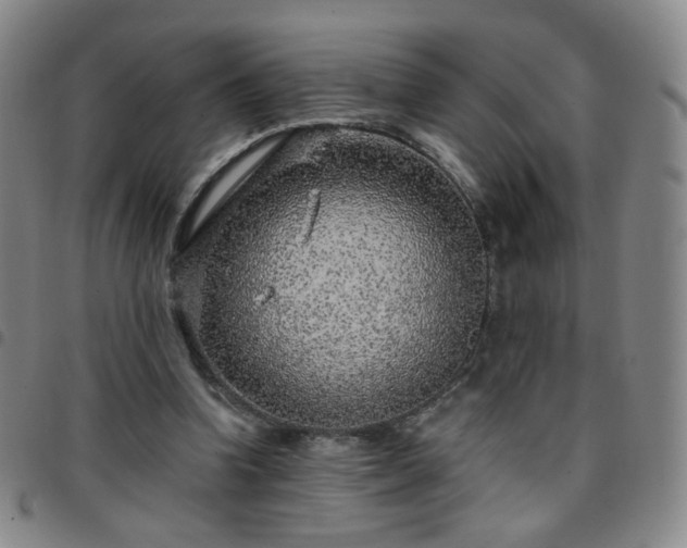 X0000097770346200803141750