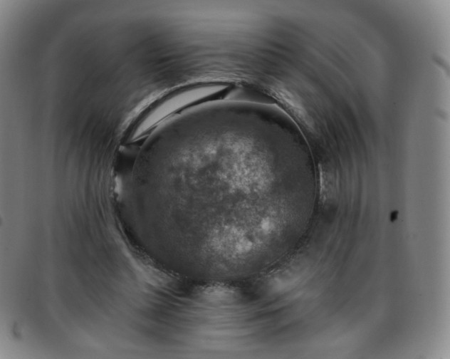 X0000097770348200803141750