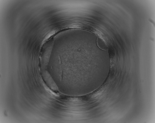 X0000097770349200803141750