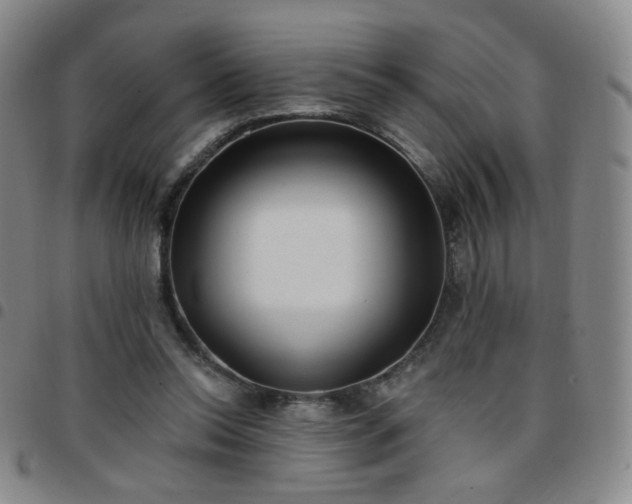 X0000097770350200803141750