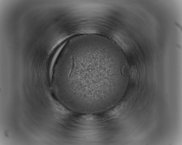 X0000097770351200803141750