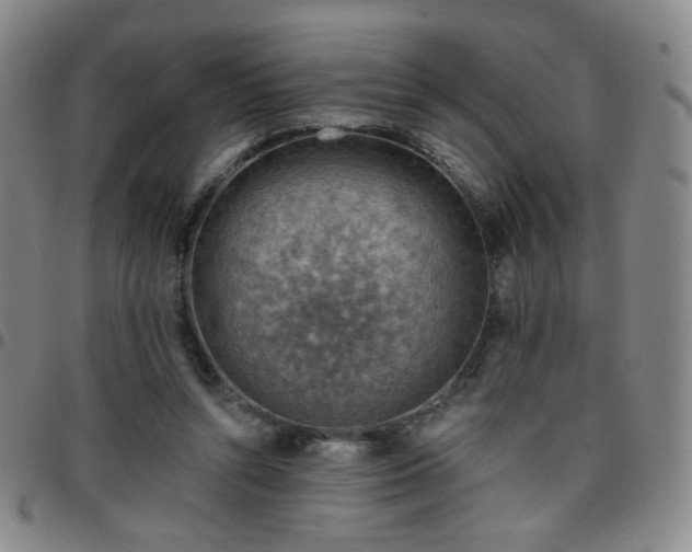 X0000097770352200803141750