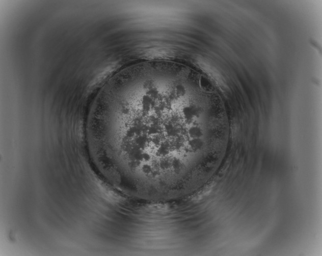 X0000097770353200803141750