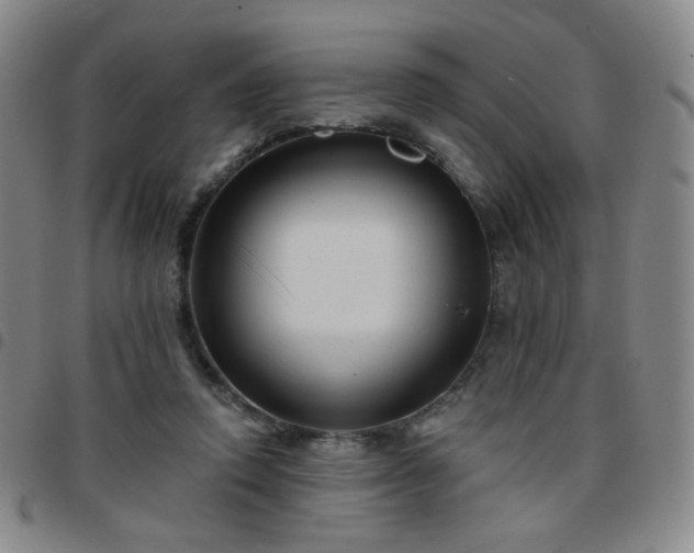 X0000097770354200803141750