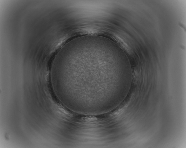 X0000097770355200803141750