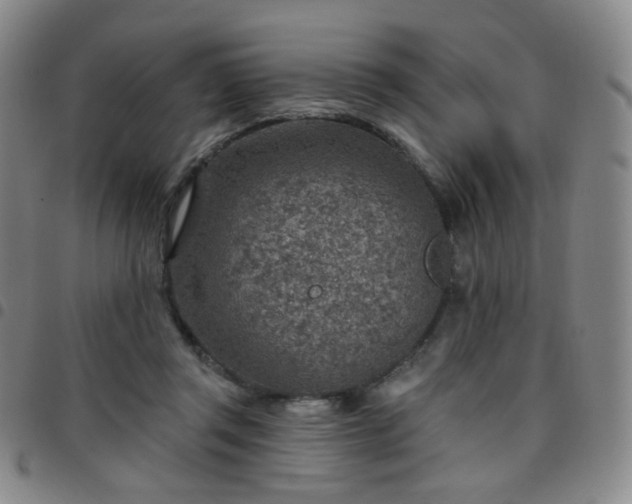 X0000097770357200803141750
