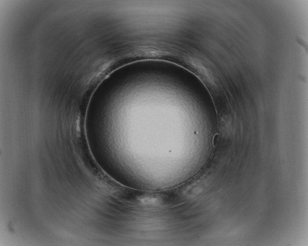 X0000097770358200803141750